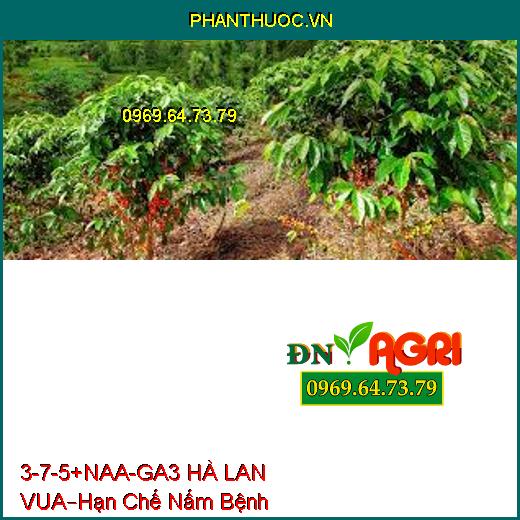 PHÂN BÓN LÁ 3-7-5 + NAA – GA3 HÀ LAN – VUA –Hạn Chế Nấm Bệnh, Phục Hồi Cây