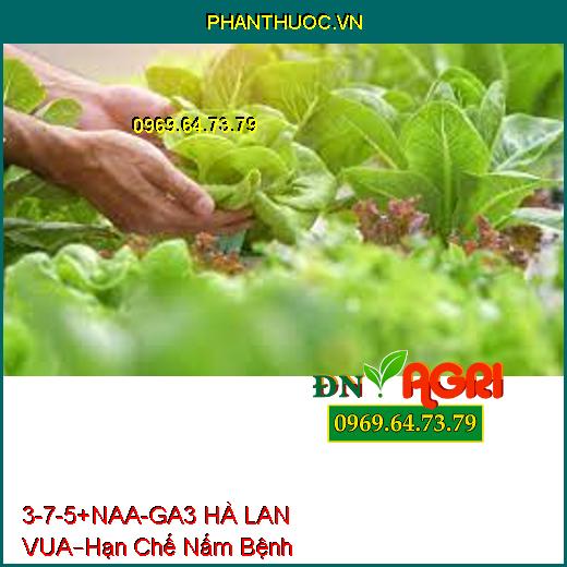 PHÂN BÓN LÁ 3-7-5 + NAA – GA3 HÀ LAN – VUA –Hạn Chế Nấm Bệnh, Phục Hồi Cây