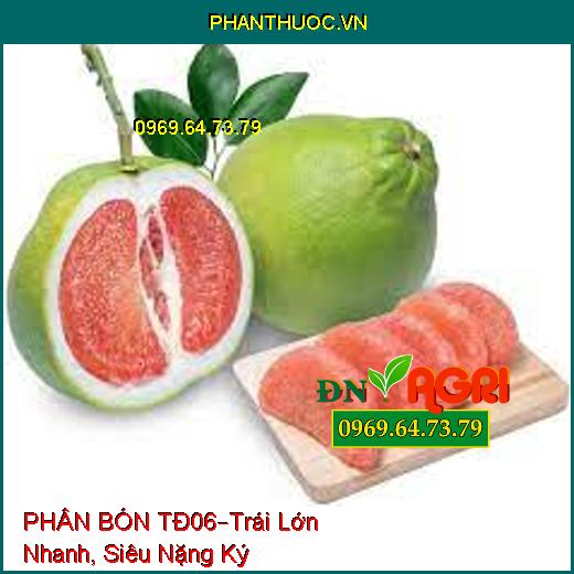 PHÂN BÓN TĐ06 –Giúp Cây Phát Triển, Trái Lớn Nhanh Tròn Đều, Siêu Nặng Ký