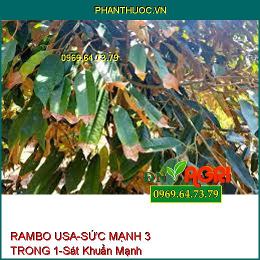 PHÂN BÓN CAO CẤP RAMBO USA – SỨC MẠNH 3 TRONG 1-Sát Khuẩn Cực Mạnh