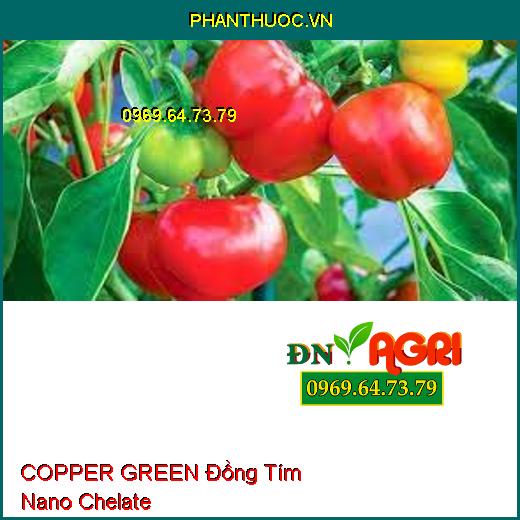 COPPER GREEN Đồng Tím Nano Chelate - Rửa Vườn, Kháng Vàng Lá, Nứt Thân, Thối Trái