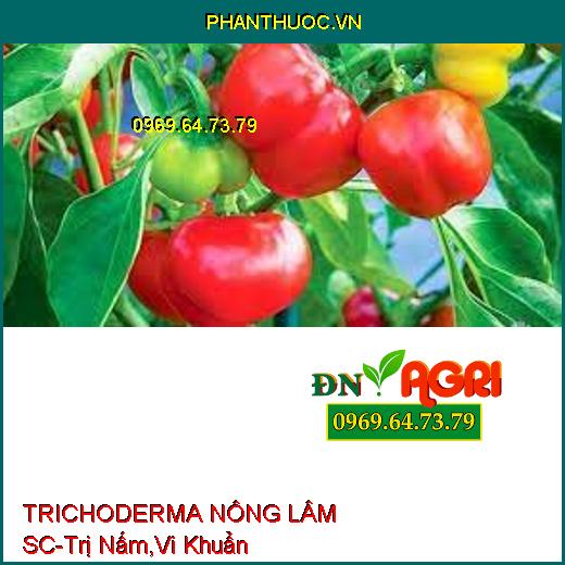 PHÂN VI SINH CAO CẤP TRICHODERMA NÔNG LÂM SC-Trị Nấm Và Vi Khuẩn