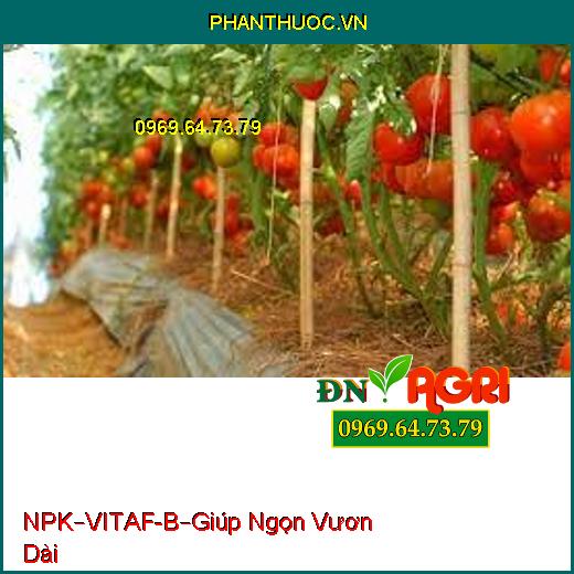 PHÂN BÓN HỖN HỢP NPK–VITAF-B – HẠN CHẾ NGHẼN ĐẦU LÂN-Giúp Ngọn Vươn Dài