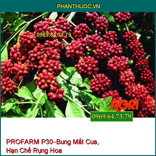 PROFARM P30 –Bung Mắt Cua Nhanh, Đồng Loạt, Kéo Bông Nhanh, Hạn Chế Rụng Hoa