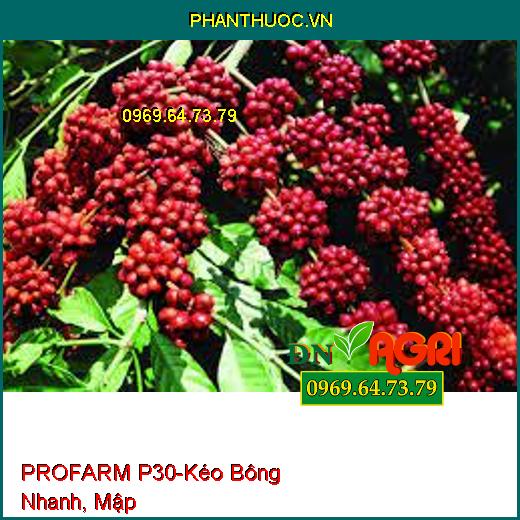 PHÂN BÓN NHẬP KHẨU PROFARM P30-Kéo Bông Nhanh, Mập , Hạn Chế Rụng Trái Non