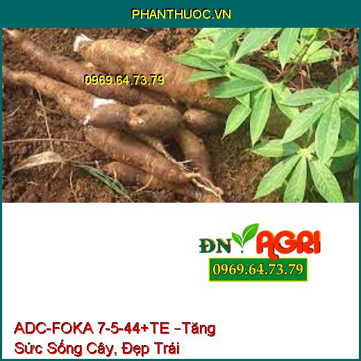 PHÂN BÓN LÁ NPK BỔ SUNG VI LƯỢNG ADC-FOKA 7-5-44+TE –Tăng Sức Sống Cây, Đẹp Trái