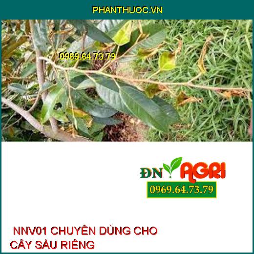  NNV01 CHUYÊN DÙNG CHO CÂY SẦU RIÊNG