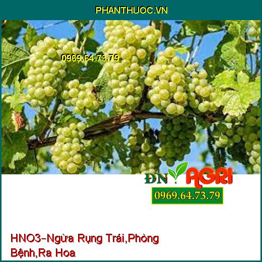 PHÂN BÓN LÁ CAO CẤP HNO3 –Ngăn Ngừa Rụng Trái, Phòng Trừ Các Loại Bệnh, Ra Hoa