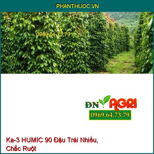 PHÂN BÓN Ka-3 HUMIC 90 – Đậu Trái Nhiều, Chắc Ruột, Hạn Chế Sâu Bệnh