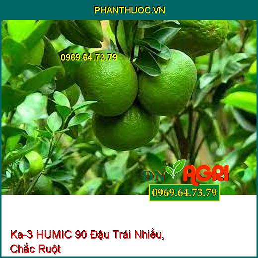 PHÂN BÓN Ka-3 HUMIC 90 – Đậu Trái Nhiều, Chắc Ruột, Hạn Chế Sâu Bệnh