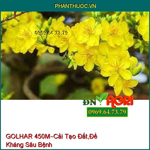 PHÂN BÓN HỮU CƠ GOLHAR 450M –Cải Tạo Đất , Đề Kháng Sâu Bệnh