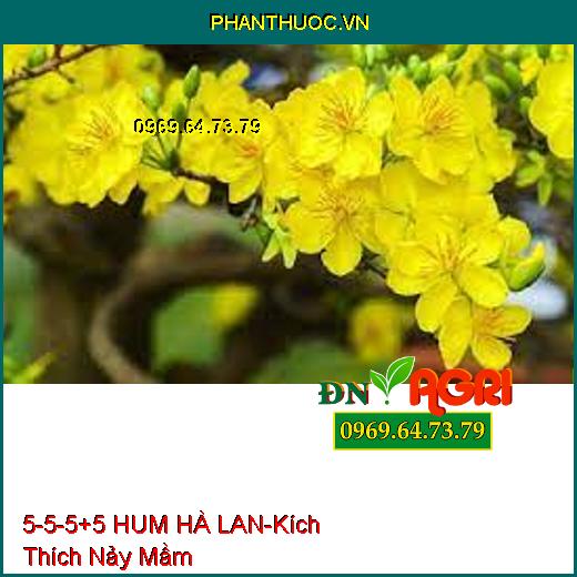 PHÂN BÓN 5-5-5+5 HUM HÀ LAN-Cung Cấp Vi Lương, Kích Thích Nảy Mầm