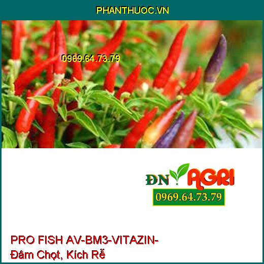 PRO FISH AV-BM3-VITAZIN- Đâm Chọt, Kích Rễ, Bóng Trái, Lớn Trái