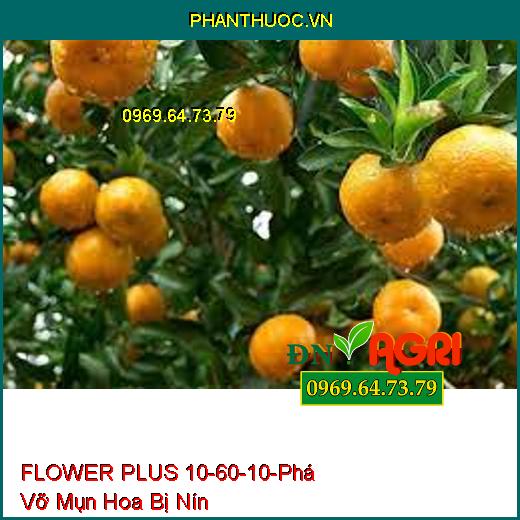 PHÂN BÓN FLOWER PLUS 10-60-10 – Phá Vỡ Mụn Hoa Bị Nín, Nghẹn Hoa Chai Đầu