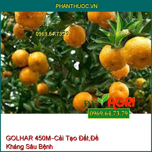 PHÂN BÓN HỮU CƠ GOLHAR 450M –Cải Tạo Đất , Đề Kháng Sâu Bệnh