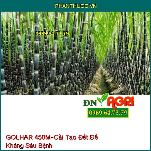 PHÂN BÓN HỮU CƠ GOLHAR 450M –Cải Tạo Đất , Đề Kháng Sâu Bệnh