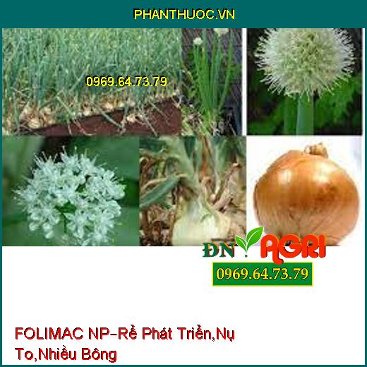 FOLIMAC NP –Kích Thích Phát Triển Rễ Mạnh, Nụ To Nhiều Bông