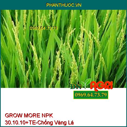 GROW MORE NPK 30.10.10+TE-Phục Hồi Đất Bị Bạc, Vàng Lá, Tăng Vị Ngot, Bóng Trái