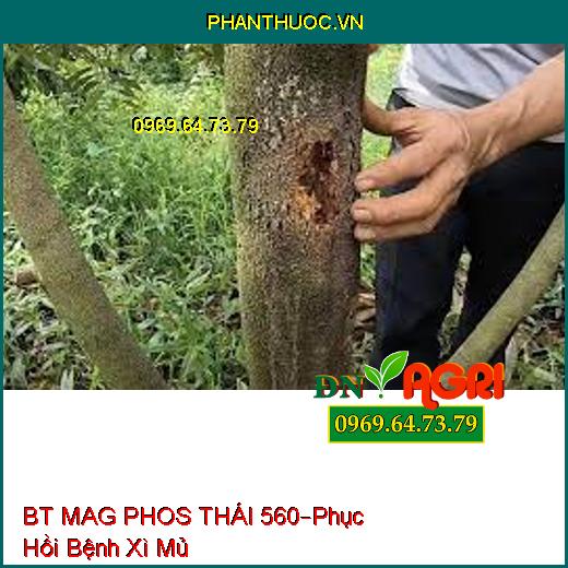 PHÂN BÓN LÁ BT MAG PHOS THÁI 560 SẦU RIÊNG –Phục Hồi Bệnh Hại Xì Mủ, Đậu Trái