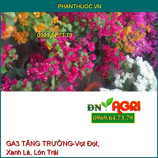 PHÂN BÓN CAO CẤP GA3 TĂNG TRƯỞNG-Vọt Đọt, Xanh Lá, Đẻ Nhánh, Dài Bông, Lớn Trái