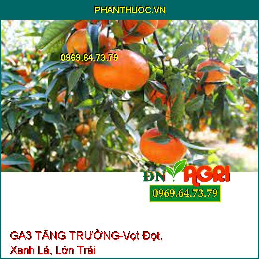 PHÂN BÓN CAO CẤP GA3 TĂNG TRƯỞNG-Vọt Đọt, Xanh Lá, Đẻ Nhánh, Dài Bông, Lớn Trái