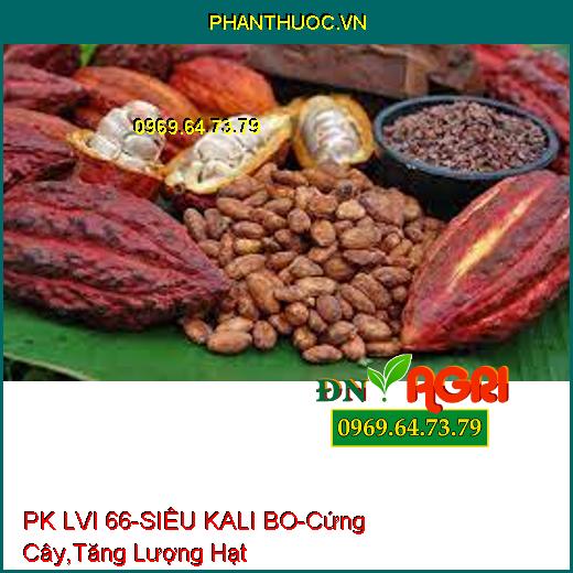 PHÂN BÓN HỖN HỢP PK LVI 66 – SIÊU KALI – BO –Cứng Cây, Tăng Số Lượng Hạt