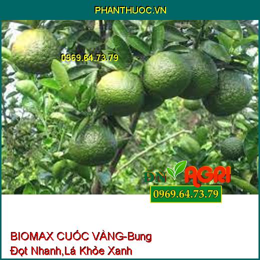 PHÂN BÓN BIOMAX CUỐC VÀNG – Bung Đọt Cực Nhanh, Lá Khỏe Xanh Mướt Lá