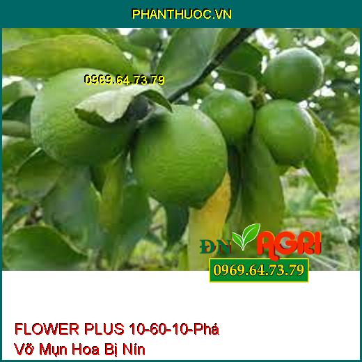 PHÂN BÓN FLOWER PLUS 10-60-10 – Phá Vỡ Mụn Hoa Bị Nín, Nghẹn Hoa Chai Đầu