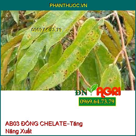 PHÂN BÓN AB03 ĐỒNG CHELATE –Rữa Vườn, Cung Cấp Kali, Tăng Năng Xuất