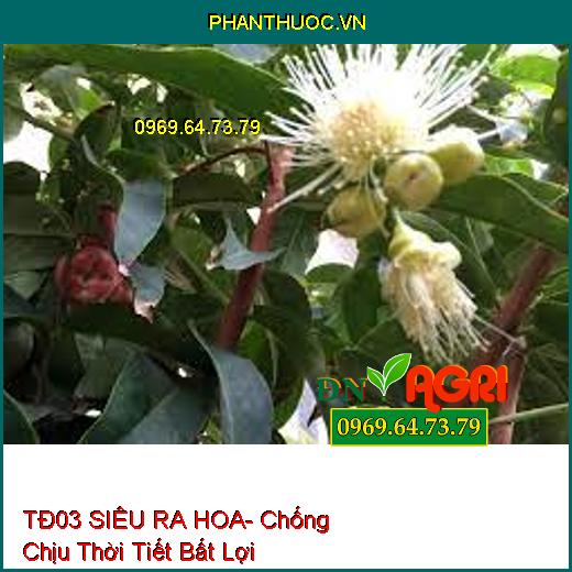 PHÂN BÓN TĐ 03 SIÊU RA HOA- Chống Chịu Thời Tiết Bất Lợi, Tăng Năng Suất