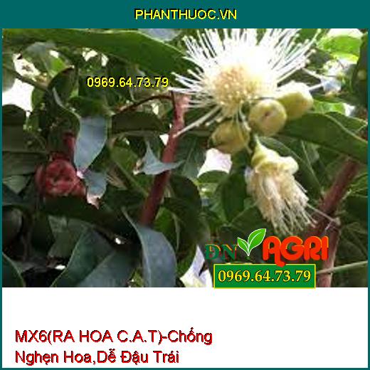 PHÂN BÓN HỖN HỢP MX6 (RA HOA C.A.T)-Chống Nghẹn Hoa, Dễ Đậu Trái