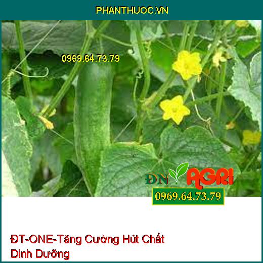 PHÂN CAO CẤP ĐT- ONE -Giải Độc Hữu Cơ, Tăng Cường Hút Chất Dinh Dưỡng