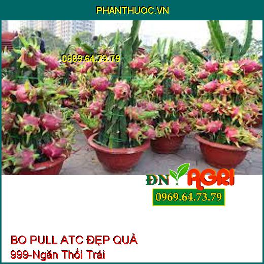 BO PULL ATC ĐẸP QUẢ 999- Tăng Thụ Phấn, Ra Hoa Đều, Ngăn Thối Trái