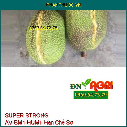 SUPER STRONG AV-BM1-HUMI- Lớn Trái Nhanh, To Trái, Xanh Trái, Hạn Chế Sơ Đen Ở Mít