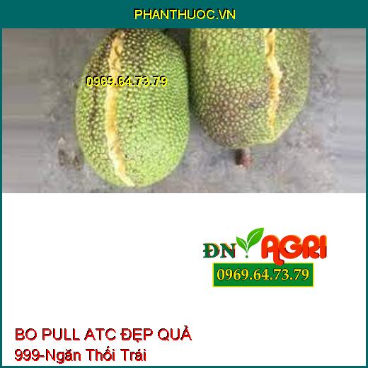 BO PULL ATC ĐẸP QUẢ 999- Tăng Thụ Phấn, Ra Hoa Đều, Ngăn Thối Trái