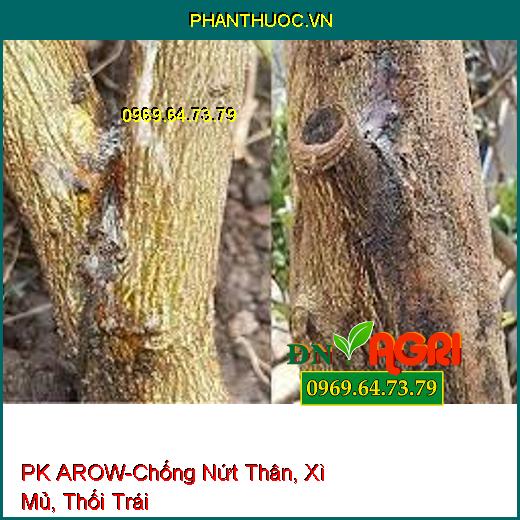 SIÊU LÂN PK AROW- Đặc Biệt Bảo Vệ Cây Trồng, Chống Nứt Thân, Xì Mủ, Thối Trái