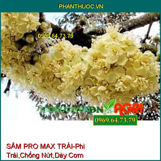 SÂM PRO MAX TRÁI - Giúp Phì Trái, Chống Nứt Gai, Dày Cơm, Chắc Thân