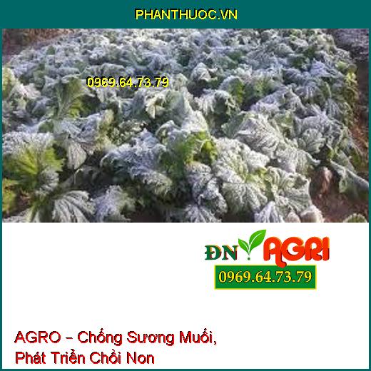 PHÂN BÓN VI LƯỢNG AGRO –Vượt Qua Stress Do Hạn, Sương Muối, Phát Triển Chồi Non