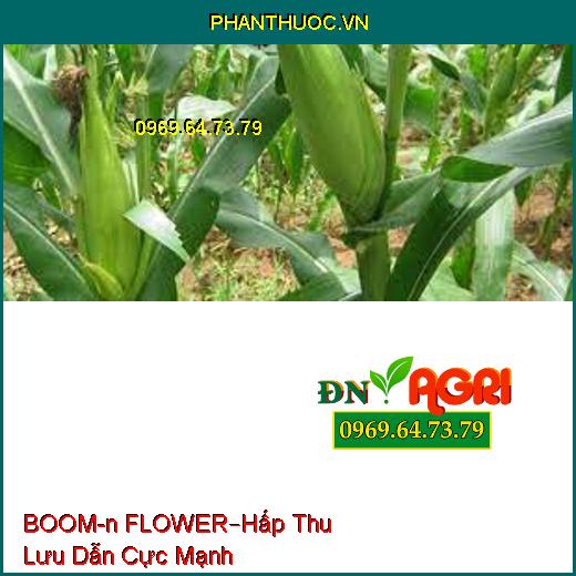 PHÂN BÓN LÁ CAO CẤP BOOM-n FLOWER –Hấp Thu Lưu Dẫn Cực Mạnh, Tăng Năng Suất