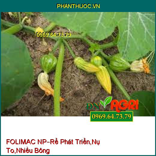 FOLIMAC NP –Kích Thích Phát Triển Rễ Mạnh, Nụ To Nhiều Bông