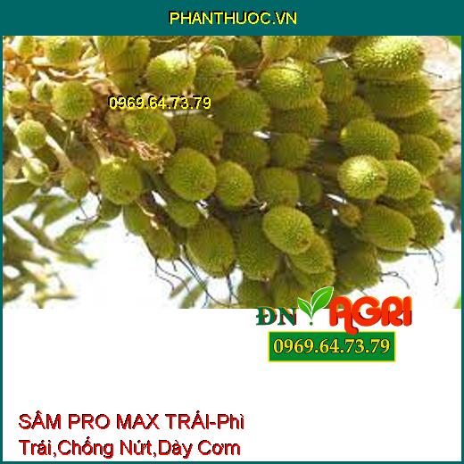 SÂM PRO MAX TRÁI - Giúp Phì Trái, Chống Nứt Gai, Dày Cơm, Chắc Thân