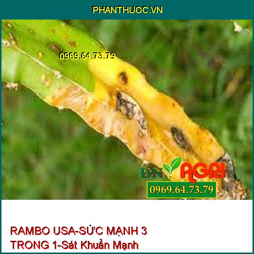 PHÂN BÓN CAO CẤP RAMBO USA – SỨC MẠNH 3 TRONG 1-Sát Khuẩn Cực Mạnh