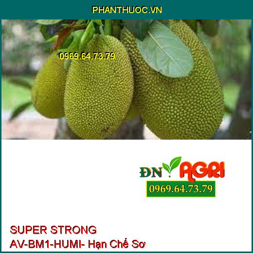 SUPER STRONG AV-BM1-HUMI- Lớn Trái Nhanh, To Trái, Xanh Trái, Hạn Chế Sơ Đen Ở Mít