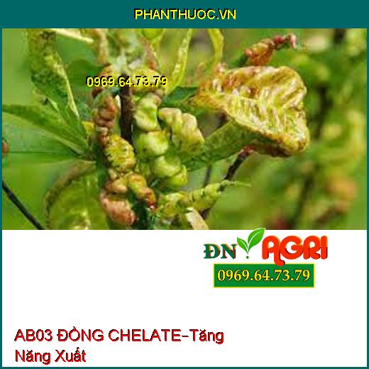 PHÂN BÓN AB03 ĐỒNG CHELATE –Rữa Vườn, Cung Cấp Kali, Tăng Năng Xuất