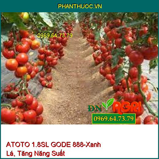 ATOTO 1.8SL GODE 888- Giúp Cây Xanh Lá, Tăng Năng Suất, Ra Rễ, Đâm Chồi Nhanh