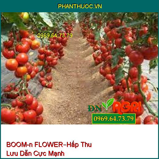 PHÂN BÓN LÁ CAO CẤP BOOM-n FLOWER –Hấp Thu Lưu Dẫn Cực Mạnh, Tăng Năng Suất