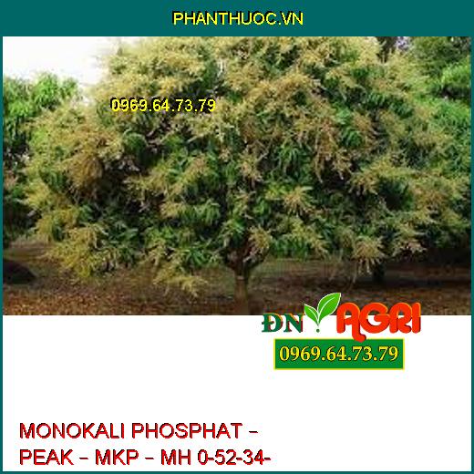 MONOKALI PHOSPHAT – PEAK – MKP – MH 0-52-34- Tăng Sản Lượng