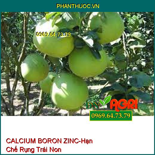 CALCIUM BORON ZINC -Hạn Chế Rụng Trái Non, Ra Hoa Đồng Loạt, Tăng Đậu Trái