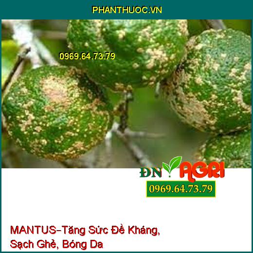 PHÂN BÓN VI LƯỢNG MANTUS –Tăng Sức Đề Kháng, Sạch Ghẻ, Bóng Da, Tránh Sương Muối