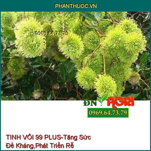 PHÂN BÓN CAO CẤP TINH VÔI 99 PLUS-Cải Tạo Đất, Tăng Sức Đề Kháng, Phát Triển Rễ